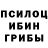 Псилоцибиновые грибы Psilocybine cubensis Shokirjon Qochqorov