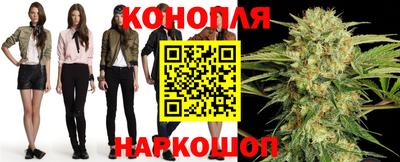 стаф Севастополь