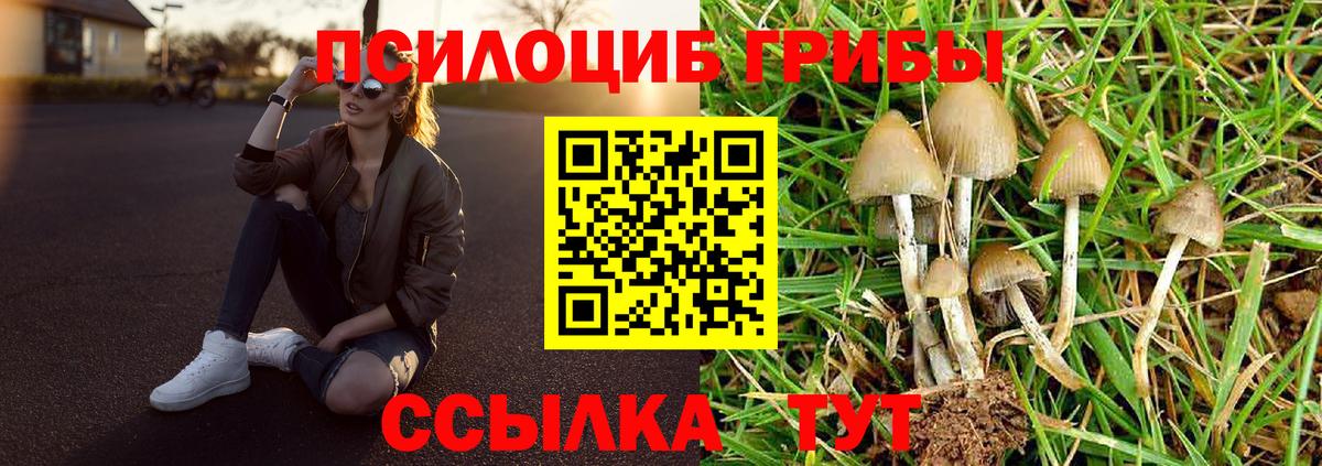 ГАШИШ  ГАШИШ  NBOMe  Валуйки  А ПВП СК кристаллы  МЕФ кристаллы  Канабис  Вход с VPN  МДМА 