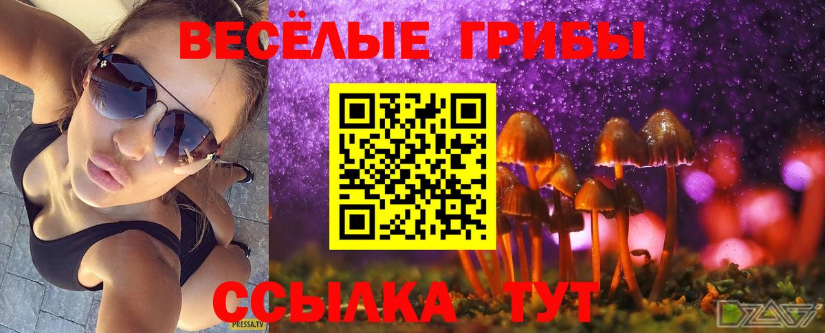 Галлюциногенные грибы Psilocybe Валуйки