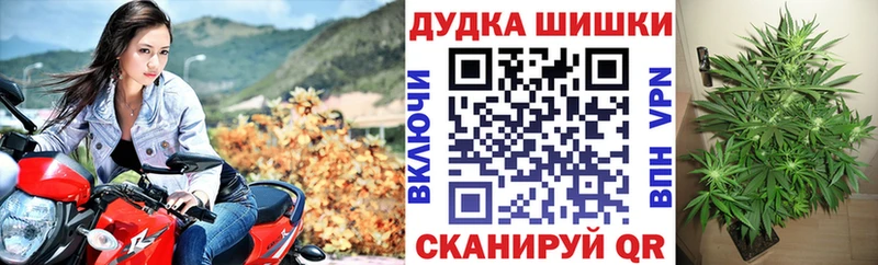 Канабис Bruce Banner  купить наркотики сайты  сайты даркнета клад  Валуйки 